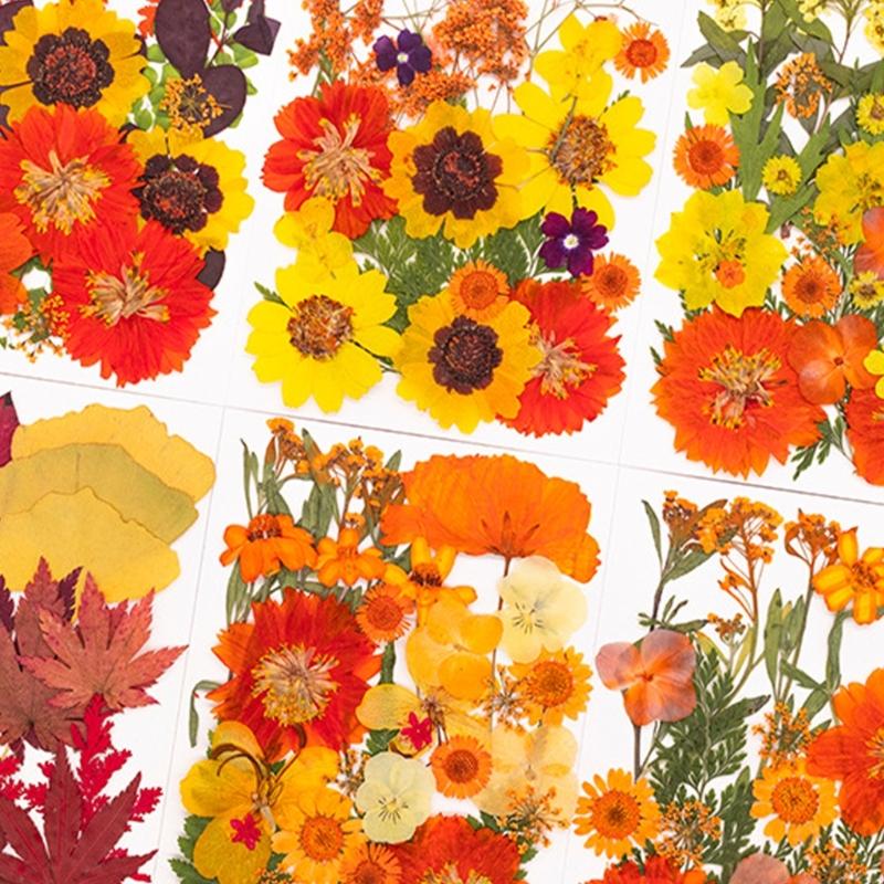Art Craft Leaves - Fiori pressati essiccati per stampi in