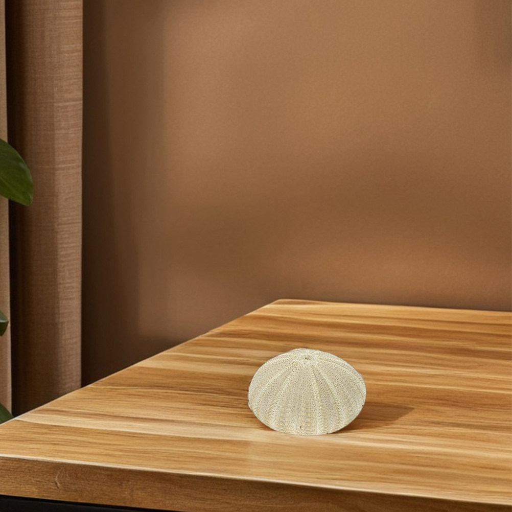 18 Conchiglie di Riccio per De - Art Craft Project recensione e prezzo