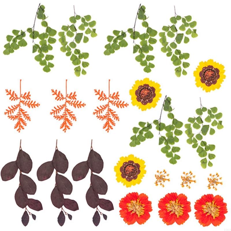 Fiori pressati essiccati per s - Art Craft Leaves recensione e prezzo