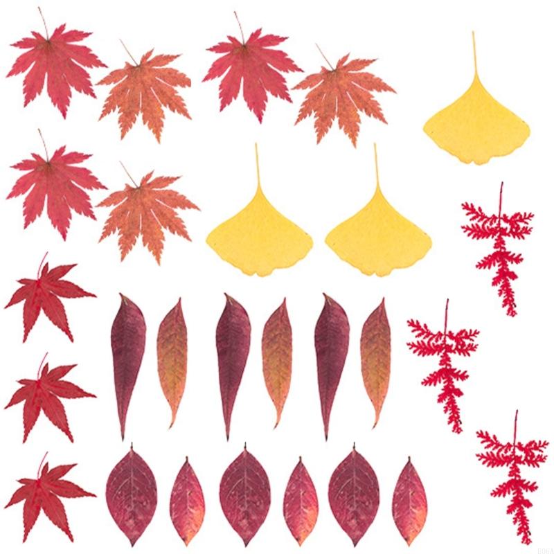 Fiori pressati essiccati per s - Art Craft Leaves recensione e prezzo