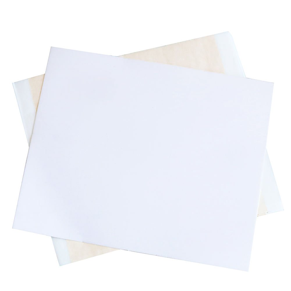 13x13,5 cm Champagne Foglio d' - Art Craft Leaves recensione e prezzo